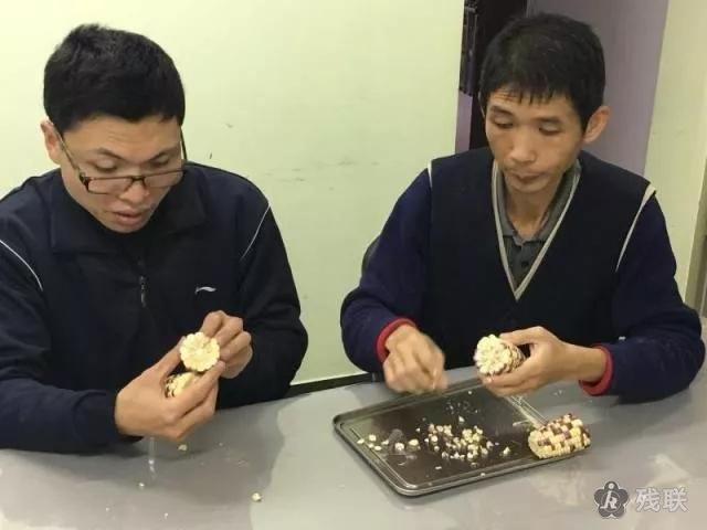 图为 活动现场