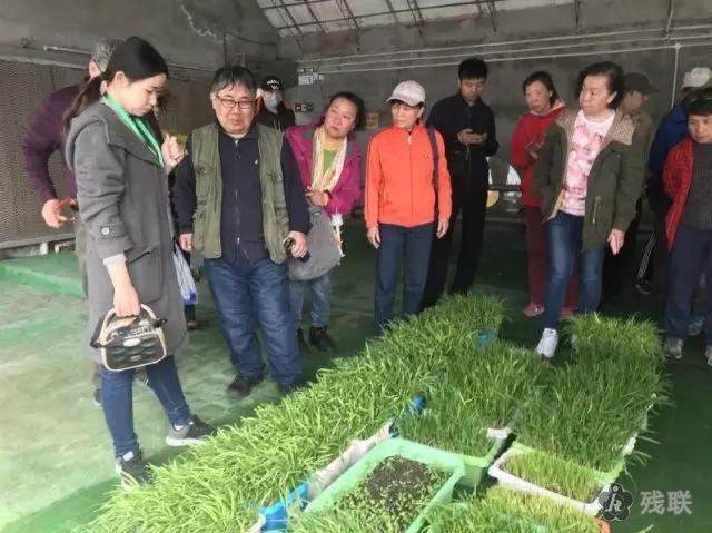 图为 活动现场