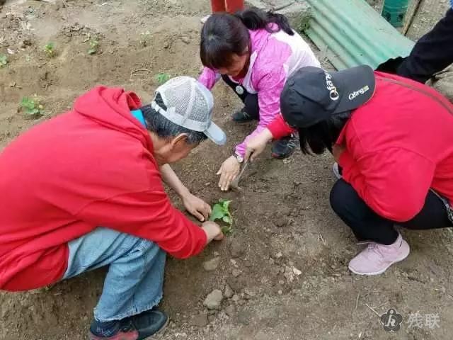 图为 活动现场