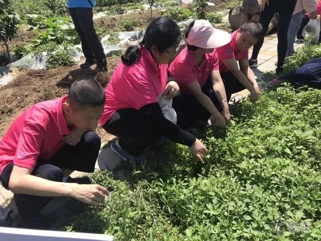 图为 活动现场