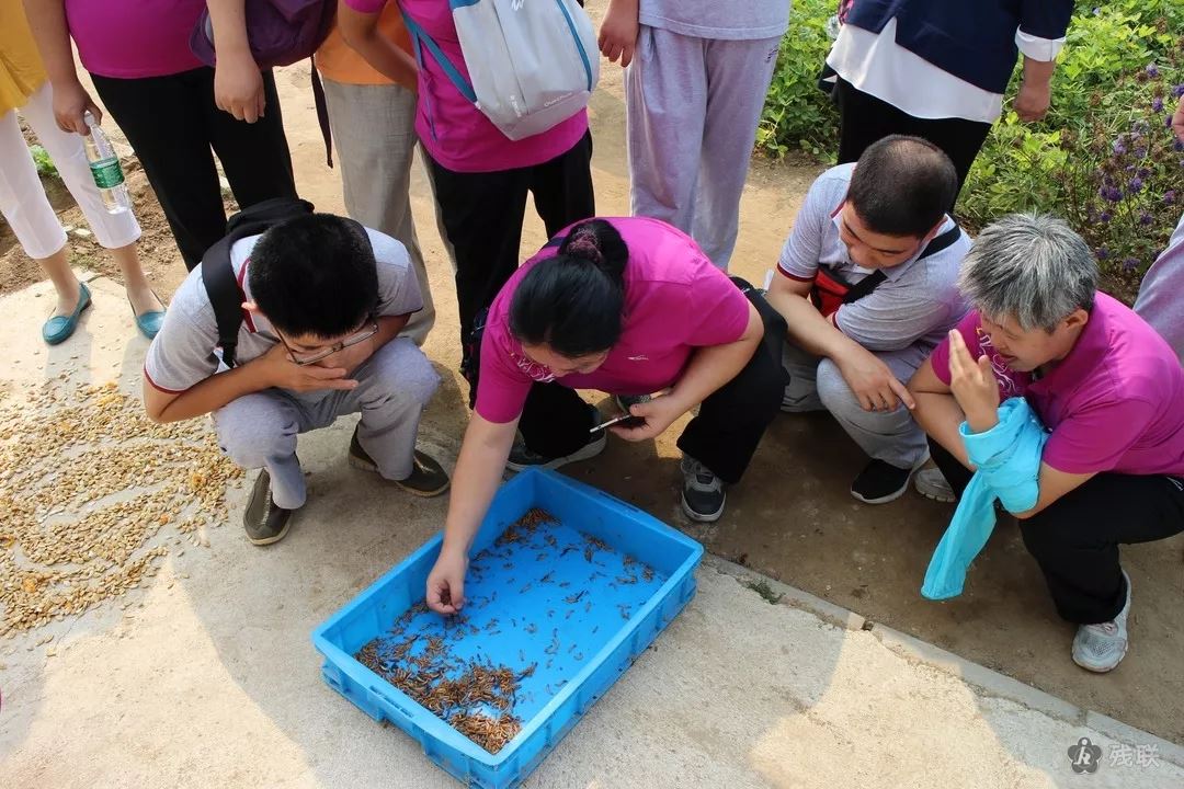 图为 活动现场